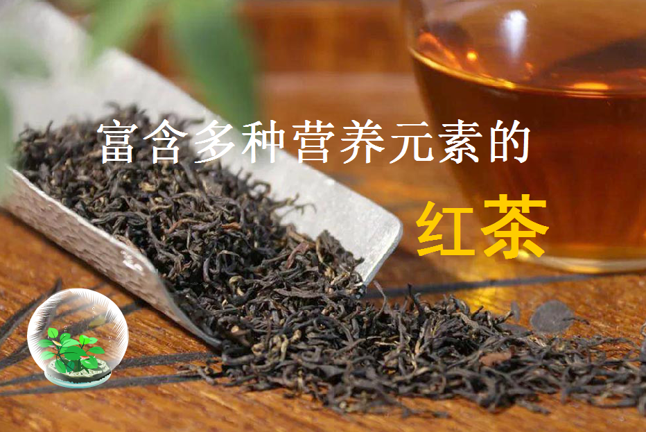 富含多种营养元素的红茶
