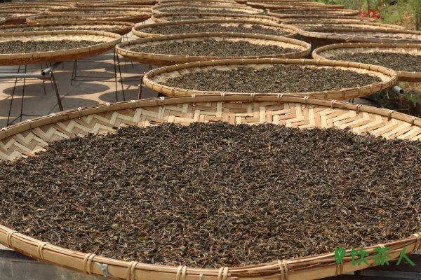 绿茶的制作流程五个步骤,绿茶的制作工艺流程